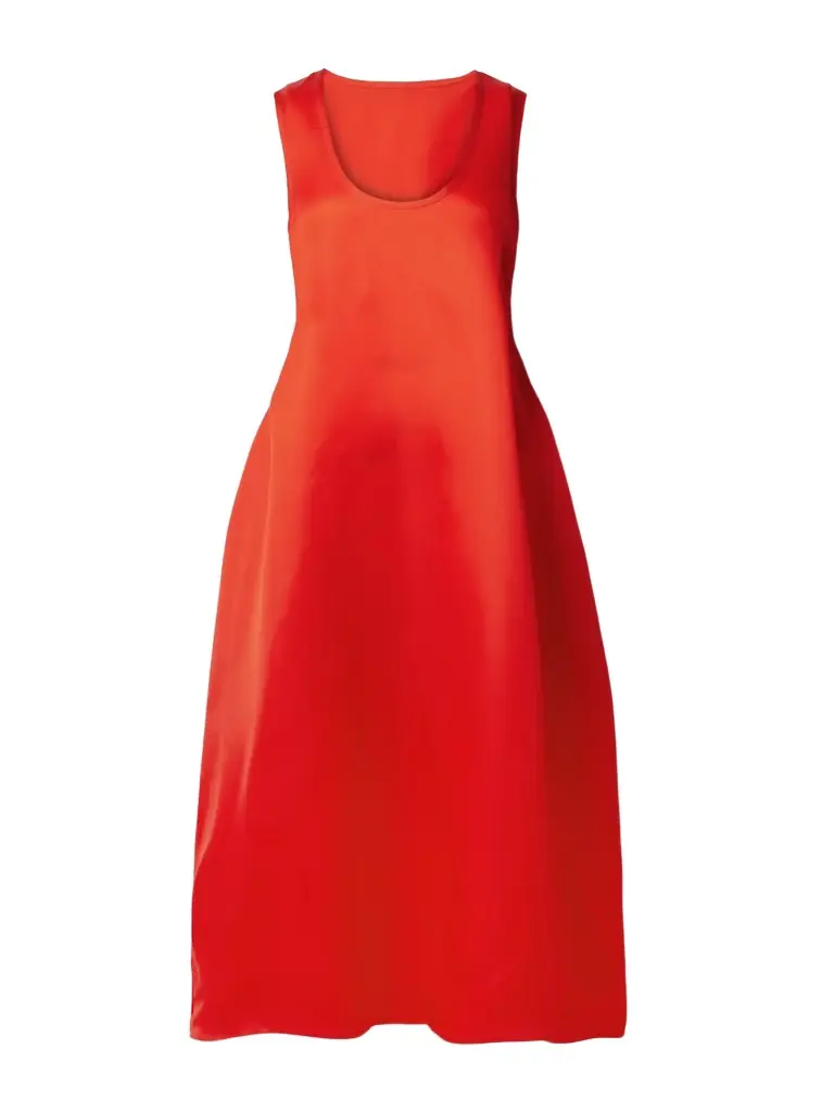 Coli Silk-organza Midi Dress