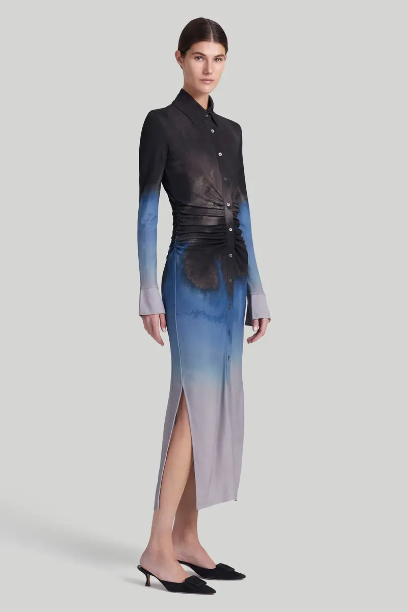 Altuzarra Dress | Thumbnail 3