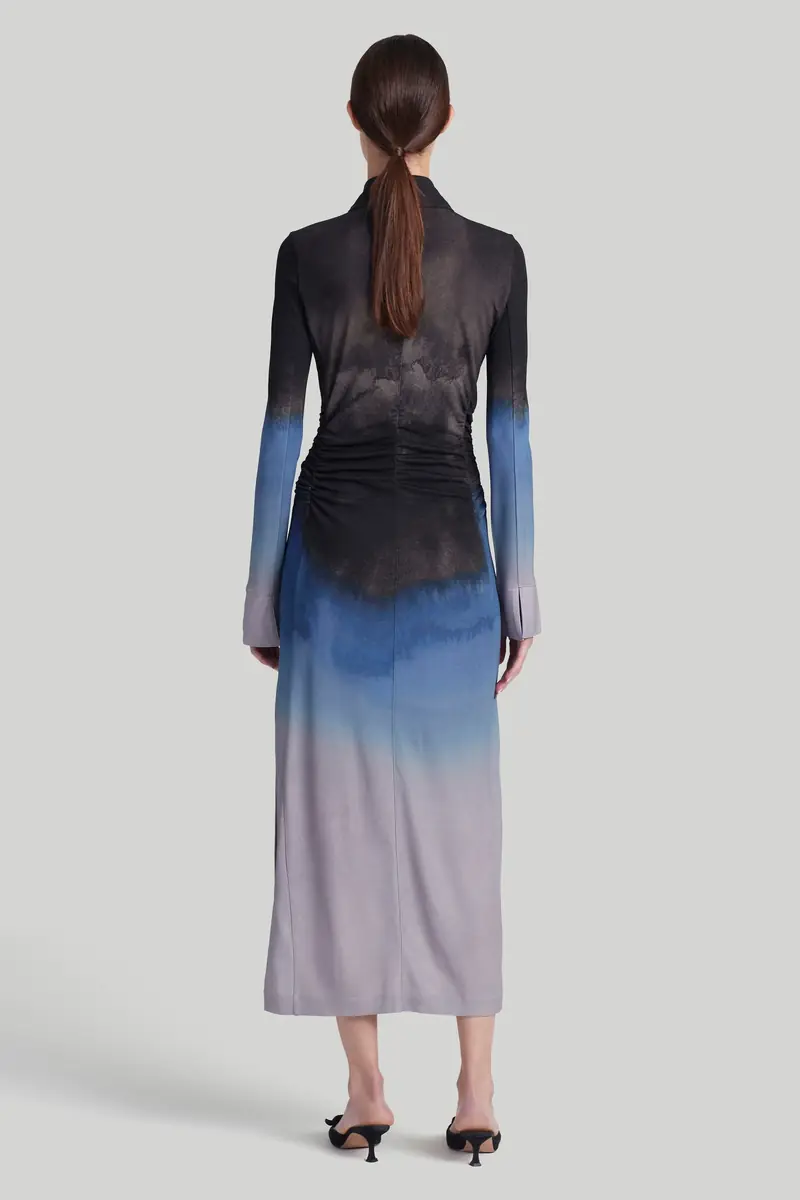 Altuzarra Dress | Thumbnail 5