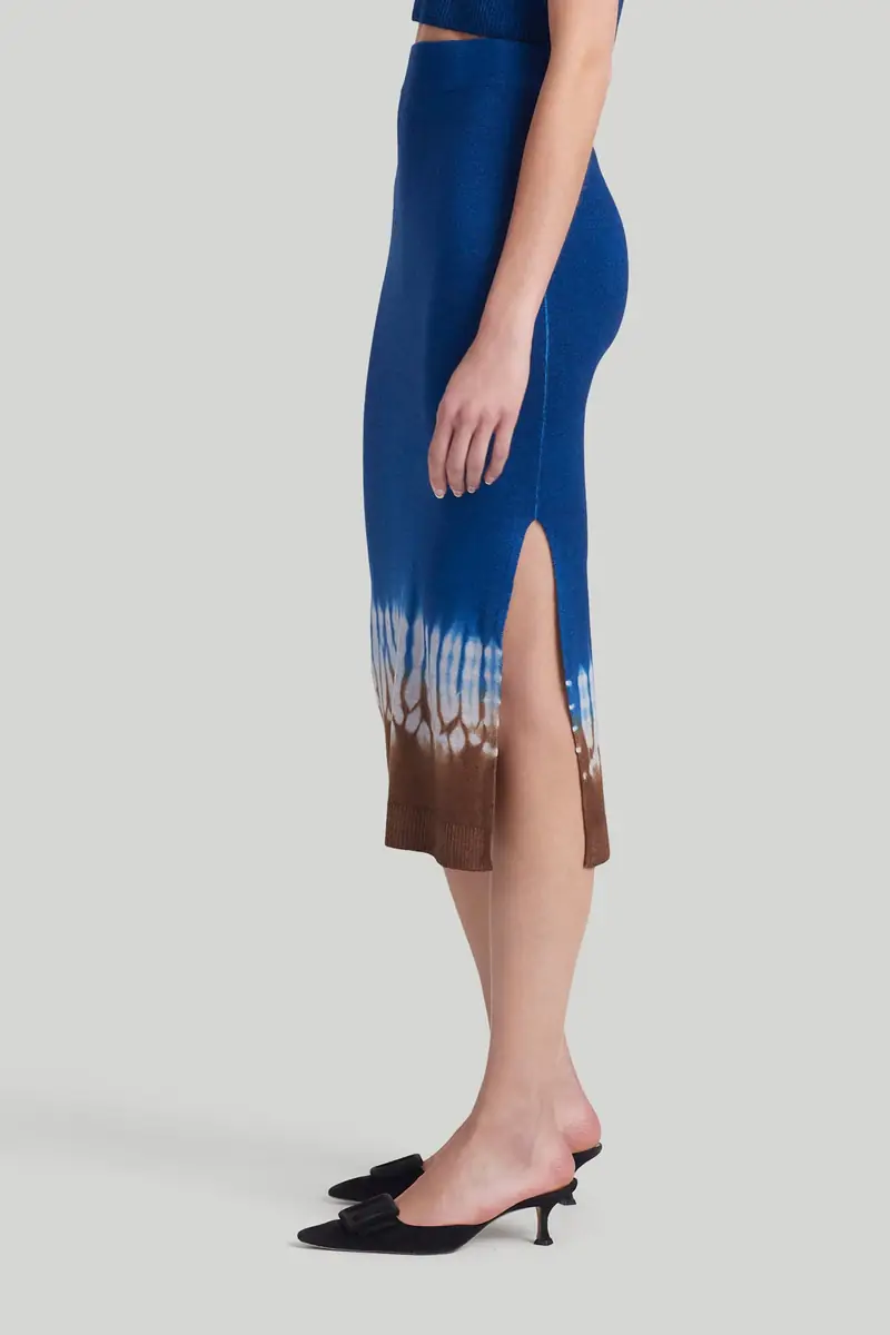 Altuzarra Skirt | Thumbnail 5