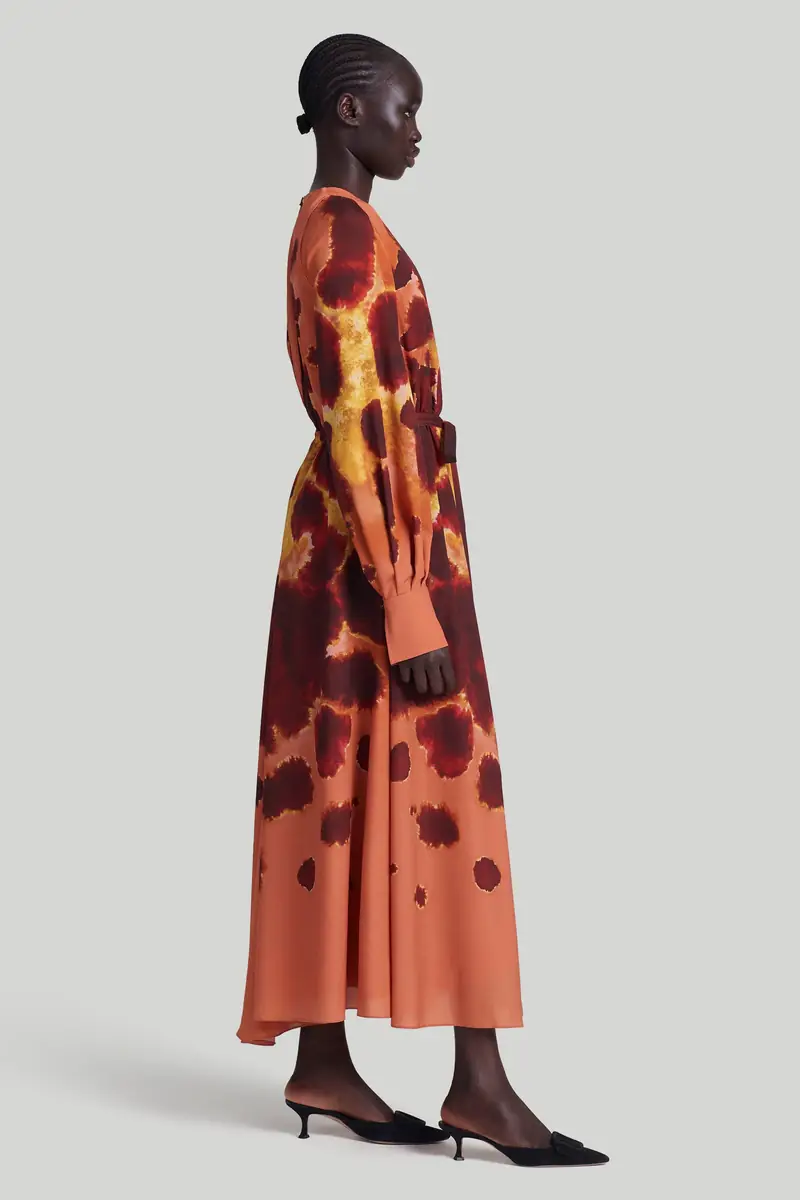 Altuzarra Dress | Thumbnail 3