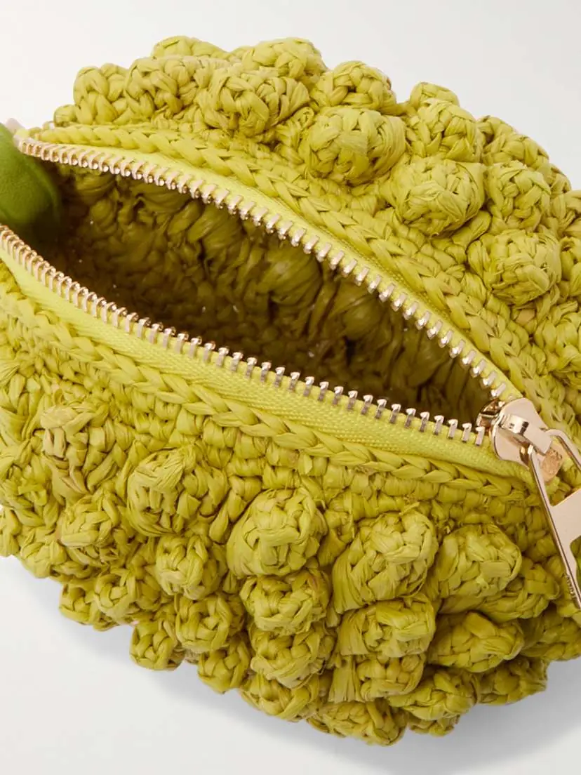 Loewe + Paula's Ibiza Lemon Leather-trimmed Raffia Coin Purse - - One size | Thumbnail 5