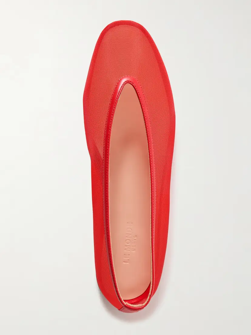 Le Monde Béryl Luna Leather-trimmed Mesh Ballet Flats | Thumbnail 5