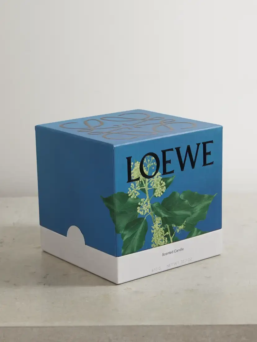 LOEWE PERFUMES Ivy Medium Scented Candle, 610g | Thumbnail 4 LOEWE PERFUMES Ivy Medium Scented Candle, 610g | Thumbnail 4