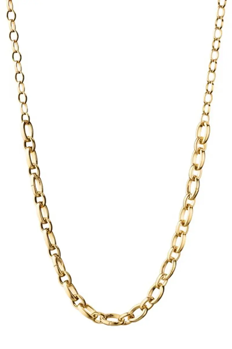 Audrey Link Charm Necklace