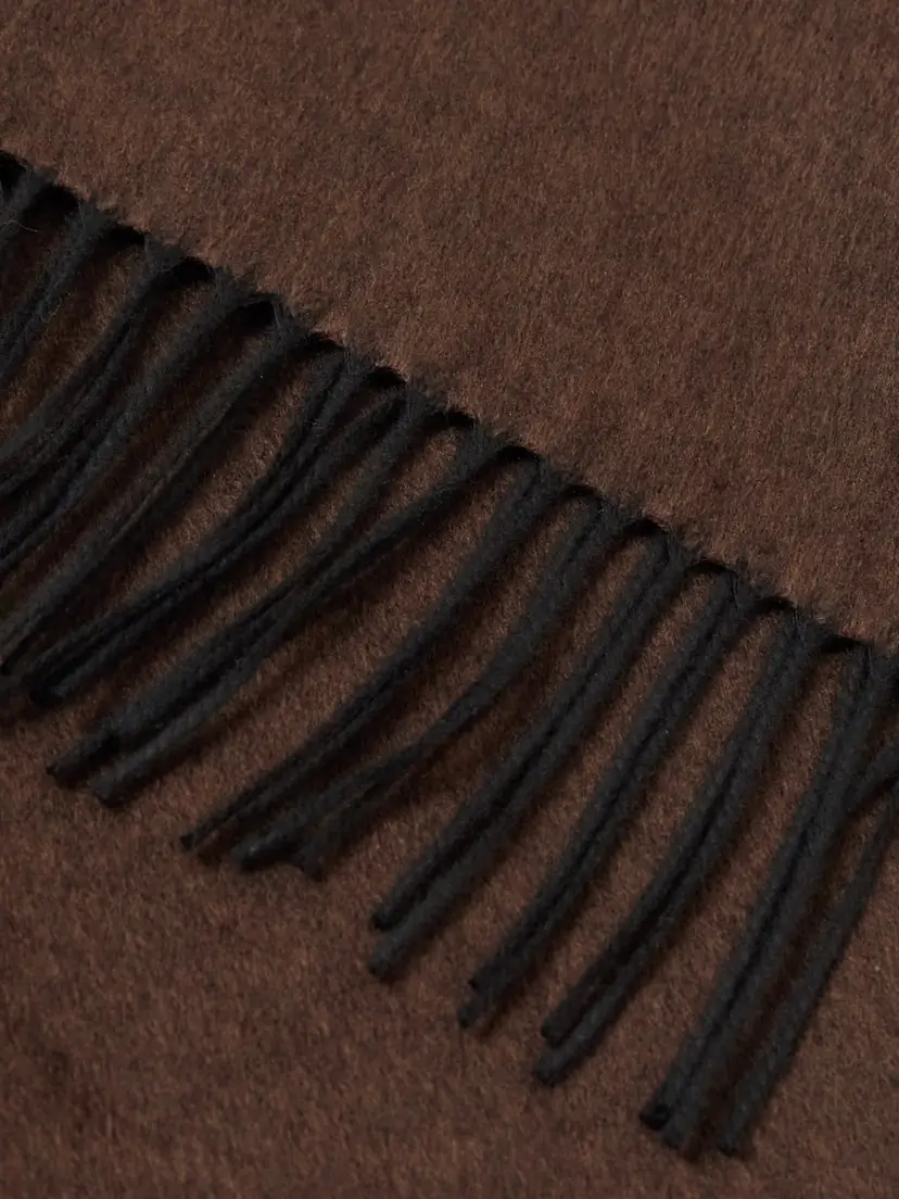 Gabriela Hearst Blaine Fringed Silk And Cashmere-blend Scarf | Thumbnail 3 Gabriela Hearst Blaine Fringed Silk And Cashmere-blend Scarf | Thumbnail 3