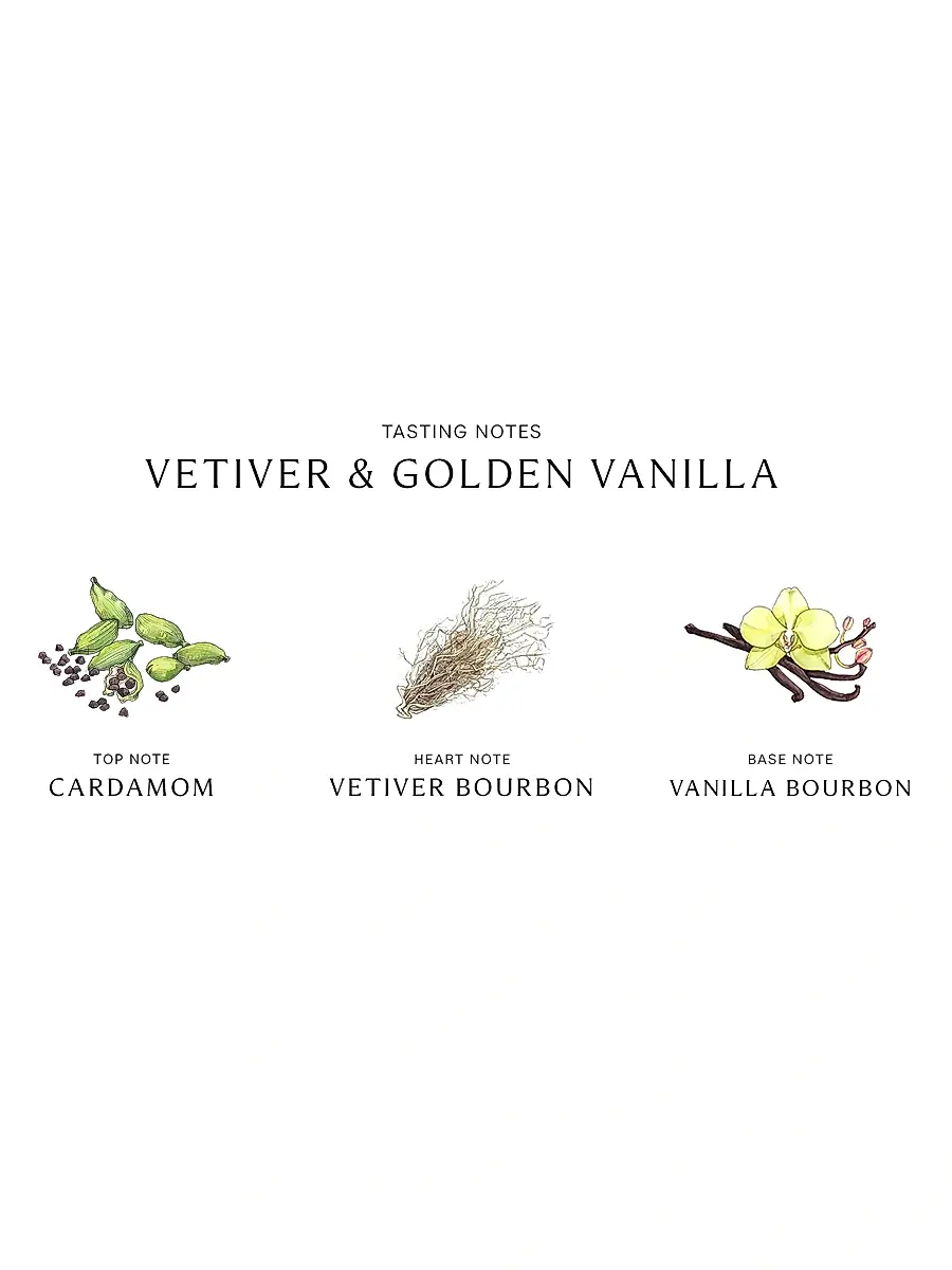 Jo Malone London Vetiver & Golden Vanilla Cologne Intense | Thumbnail 4 Jo Malone London Vetiver & Golden Vanilla Cologne Intense | Thumbnail 4