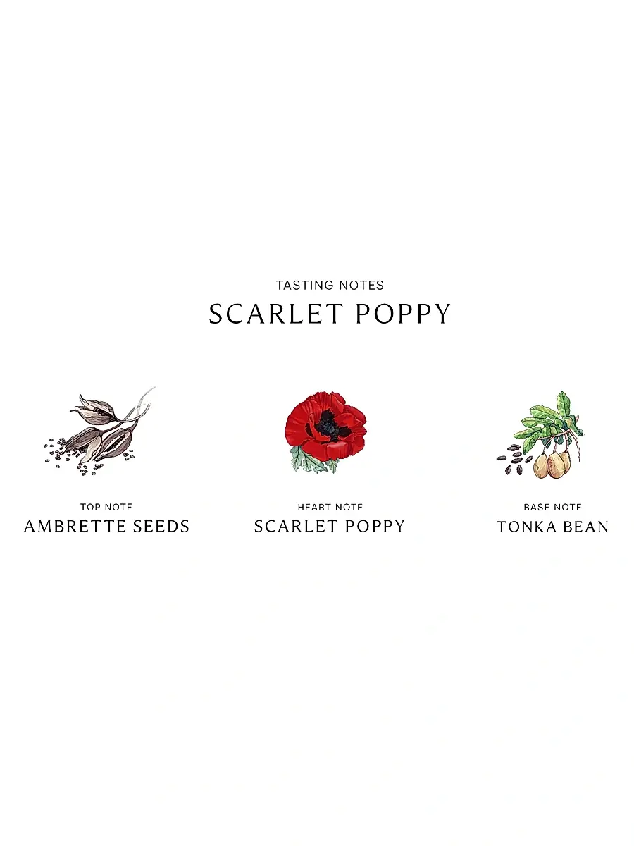 Jo Malone London Scarlet Poppy Cologne Intense | Thumbnail 4