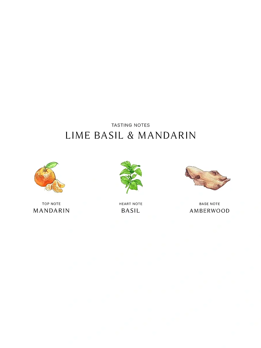 Jo Malone London Lime Basil & Mandarin Classic Candle | Thumbnail 5 Jo Malone London Lime Basil & Mandarin Classic Candle | Thumbnail 5