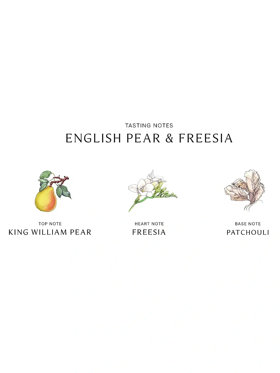 Jo Malone London English Pear & Freesia Body & Hand Lotion | Thumbnail 3 Jo Malone London English Pear & Freesia Body & Hand Lotion | Thumbnail 3