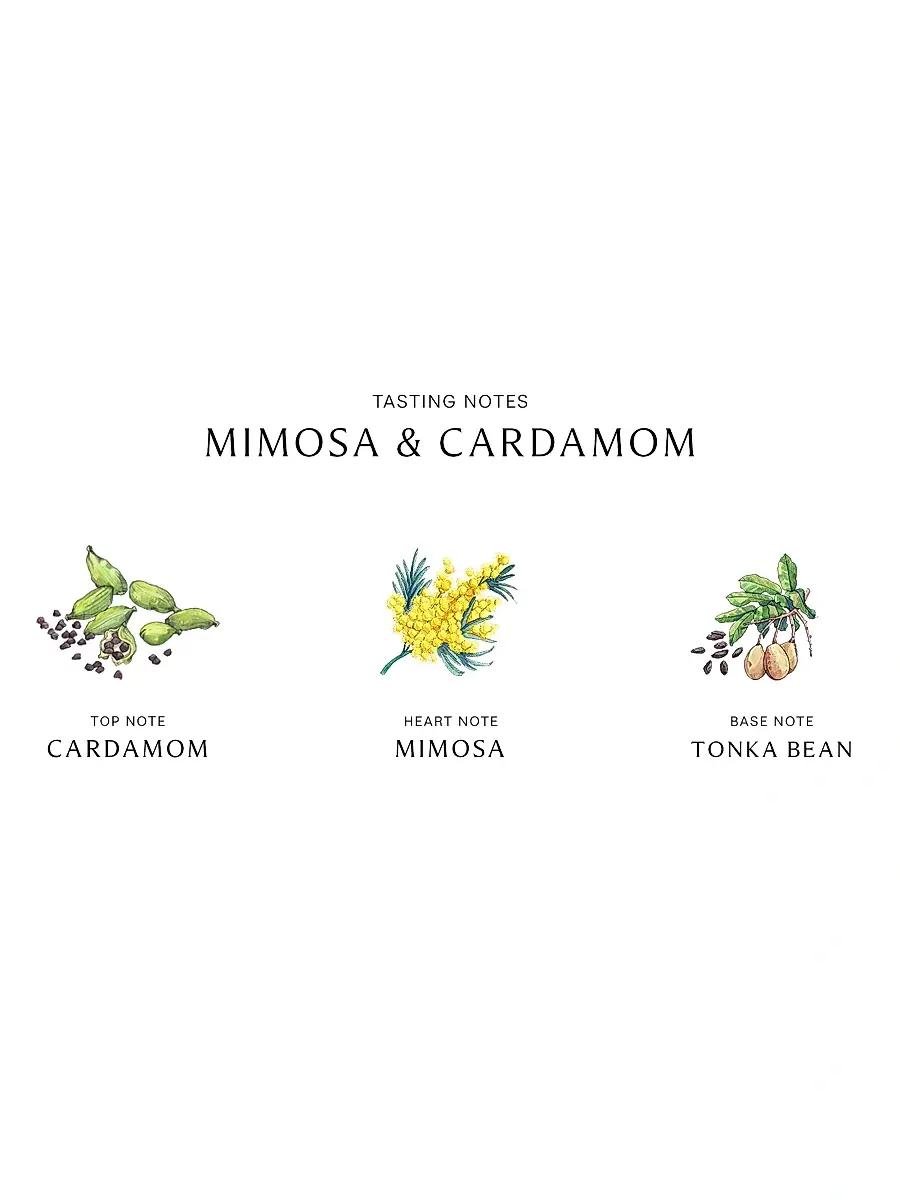 Jo Malone London Mimosa & Cardamom Body Crème | Thumbnail 3 Jo Malone London Mimosa & Cardamom Body Crème | Thumbnail 3