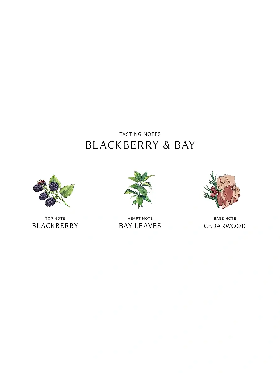 Jo Malone London Blackberry & Bay Body & Hand Lotion | Thumbnail 3 Jo Malone London Blackberry & Bay Body & Hand Lotion | Thumbnail 3