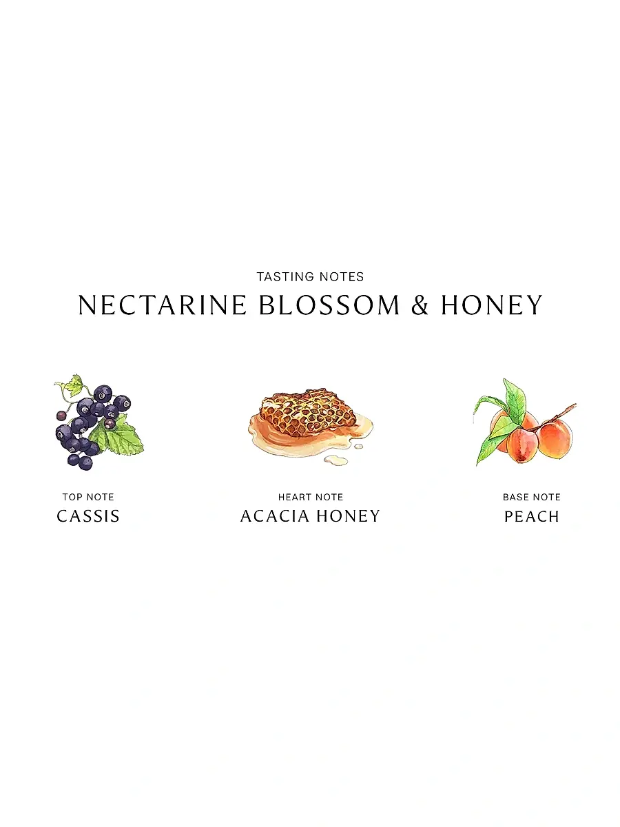 Jo Malone London Nectarine Blossom & Honey Body Crème | Thumbnail 3 Jo Malone London Nectarine Blossom & Honey Body Crème | Thumbnail 3