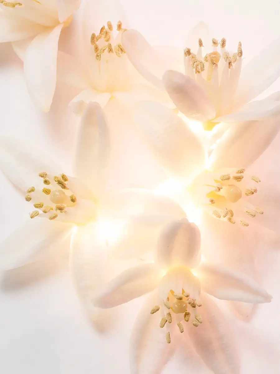 BVLGARI Women's Allegra Magnifying Neroli Eau de Parfum | Thumbnail 3