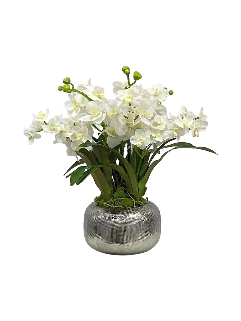 Winward Home Imitation Vanda Orchid In Pot