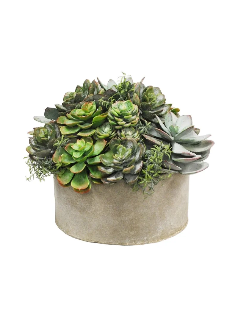 Winward Home Everyday Garden Planter Mix Succulent