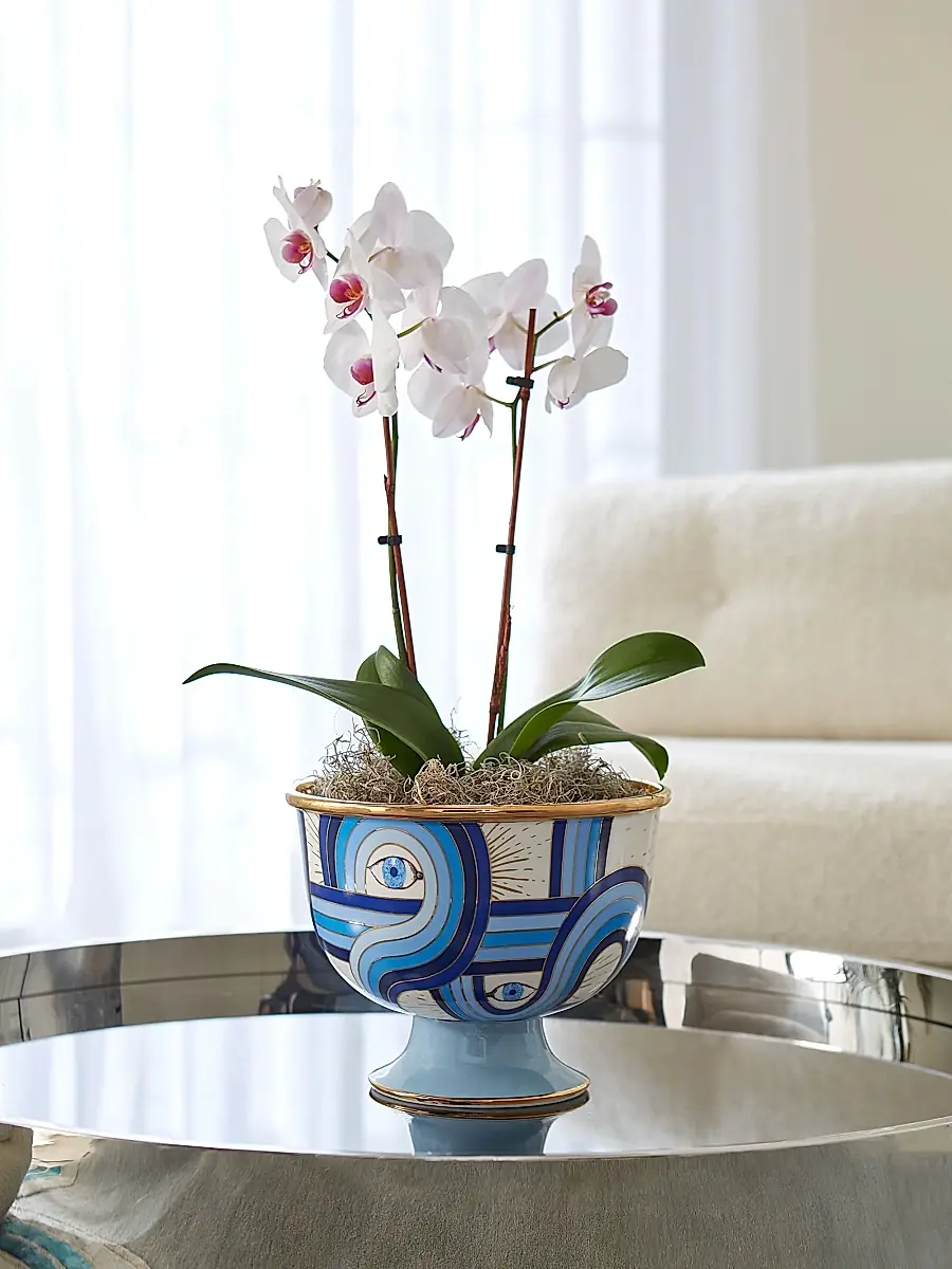 Jonathan Adler Druggist Large Bowl | Thumbnail 5