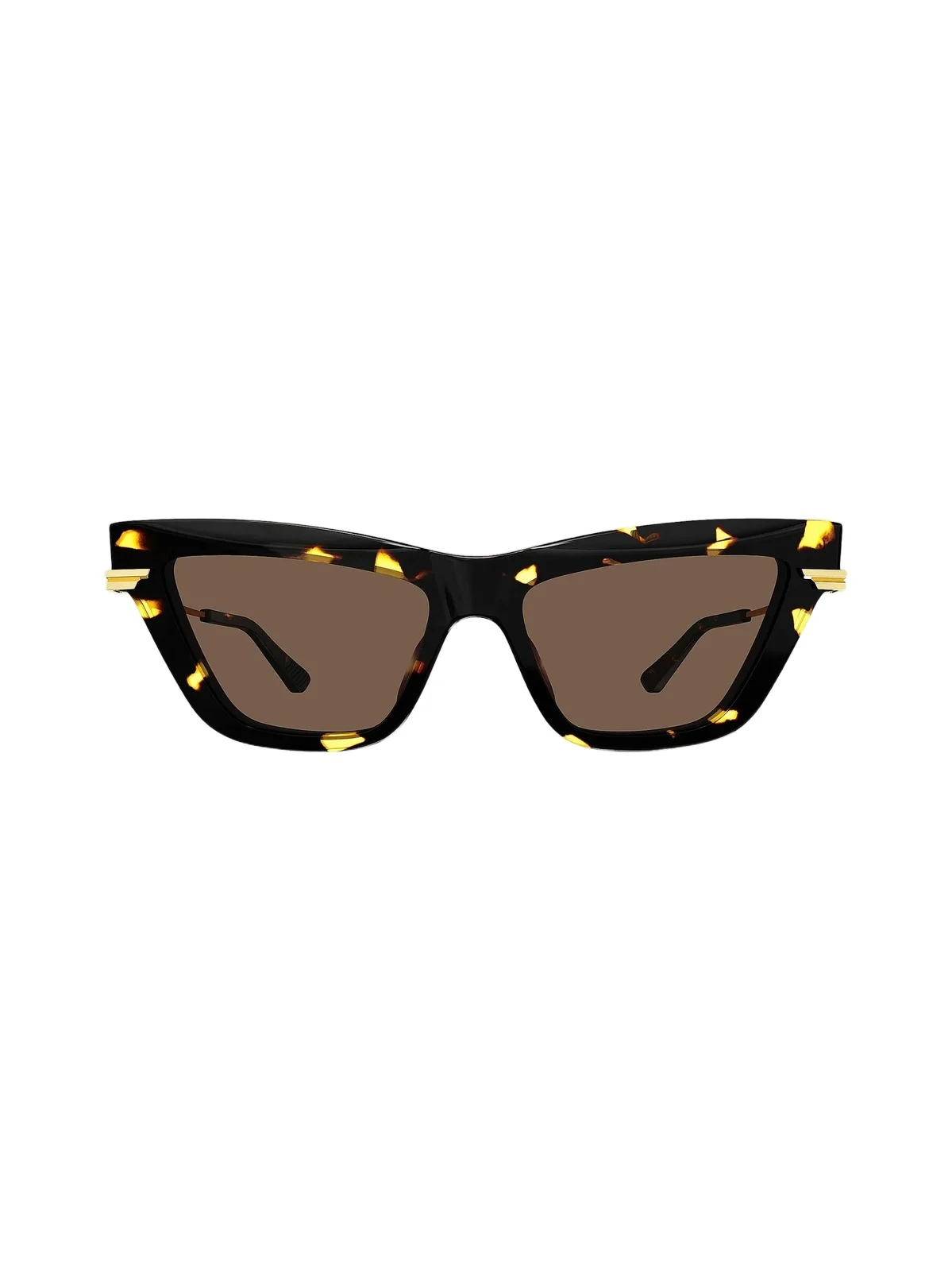 Women's Combi Acetate 54MM Cat-Eye Sunglasses Women's Combi Acetate 54MM Cat-Eye Sunglasses