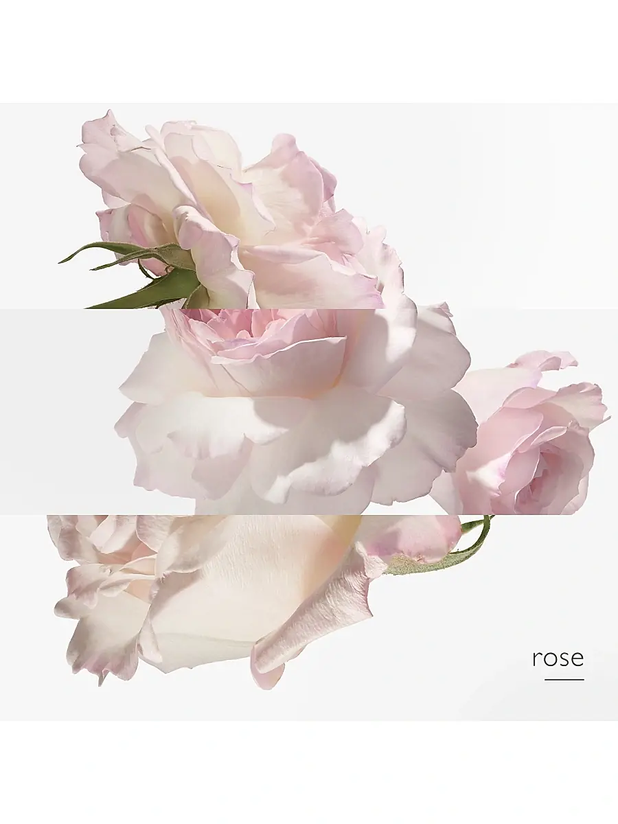 HERMÈS Eau de pamplemousse rose | Thumbnail 4 HERMÈS Eau de pamplemousse rose | Thumbnail 4