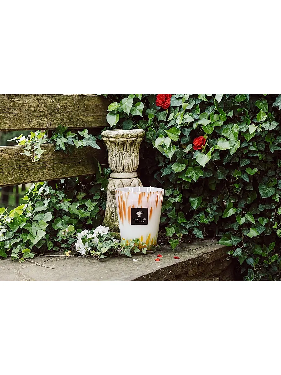 Baobab Eden Max24 Garden Candle | Thumbnail 7 Baobab Eden Max24 Garden Candle | Thumbnail 7