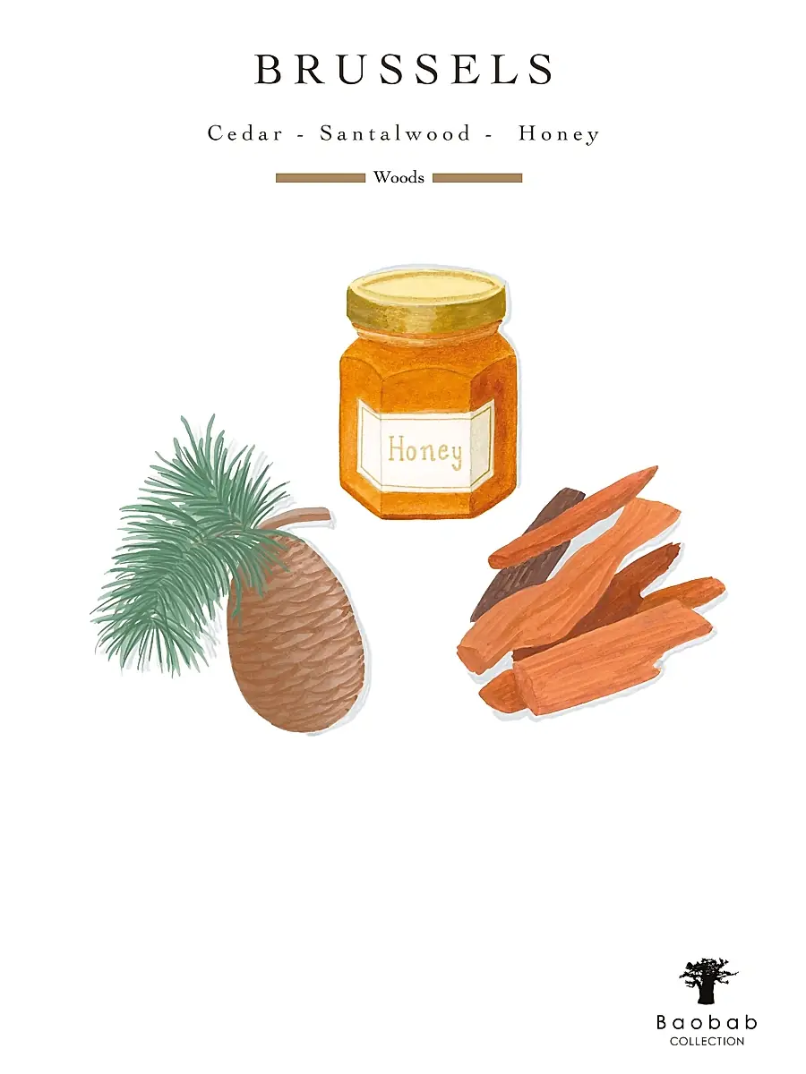 Baobab Unisex My First Brussels Candle | Thumbnail 4 Baobab Unisex My First Brussels Candle | Thumbnail 4
