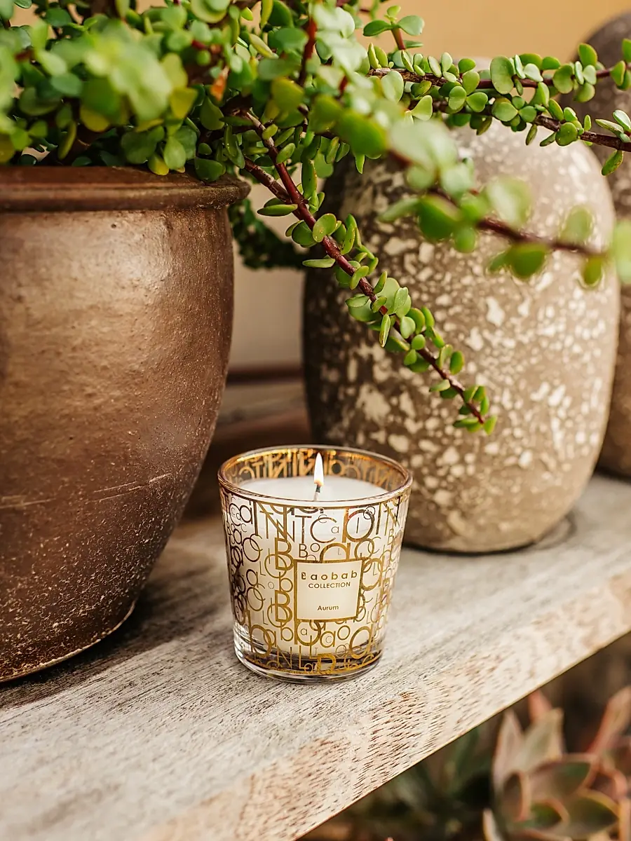 Baobab Unisex My First Aurum Candle | Thumbnail 3 Baobab Unisex My First Aurum Candle | Thumbnail 3
