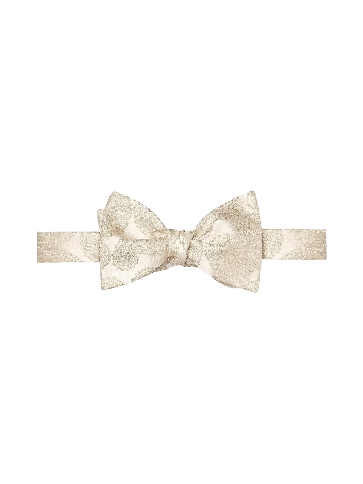 Men's Paisley Silk Bow Tie Men's Paisley Silk Bow Tie