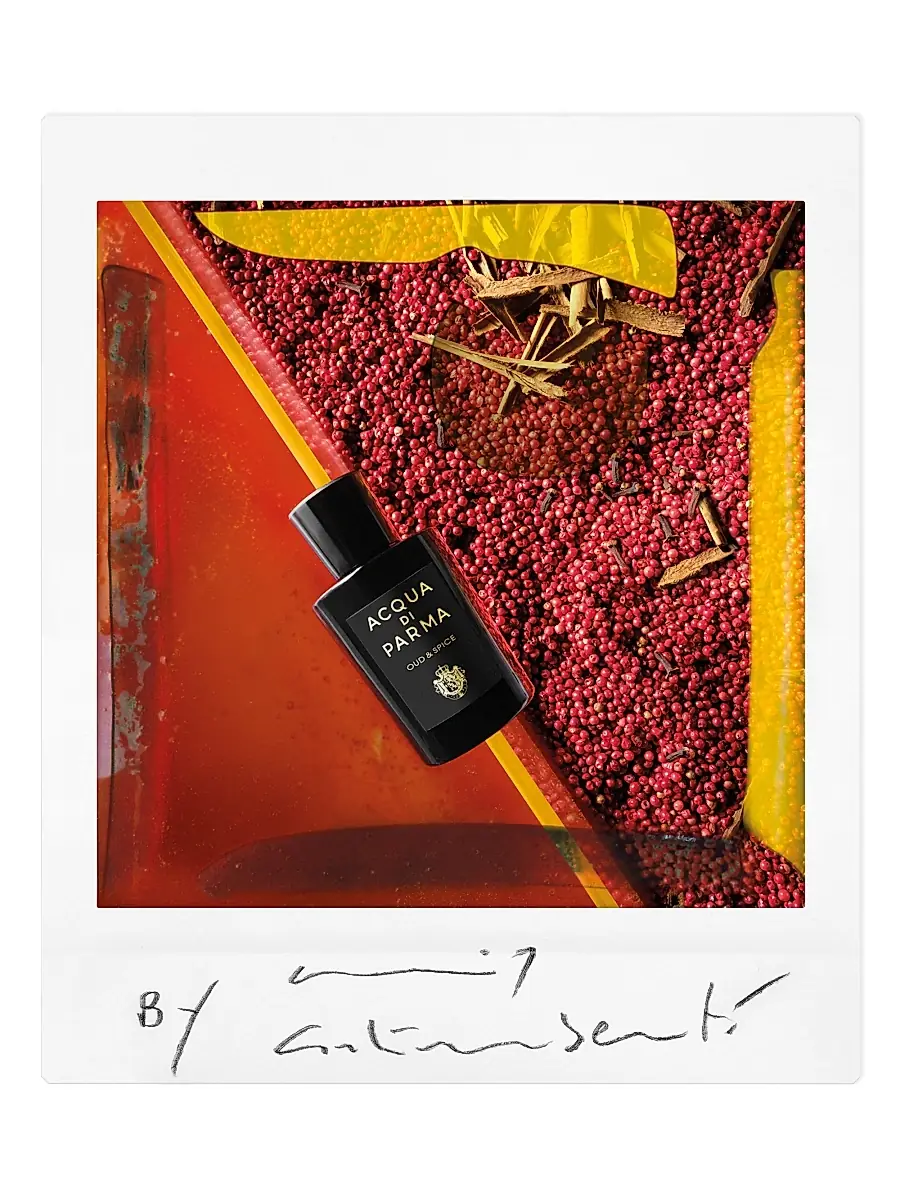 Acqua di Parma Men's Oud & Spice Eau De Parfum | Thumbnail 5