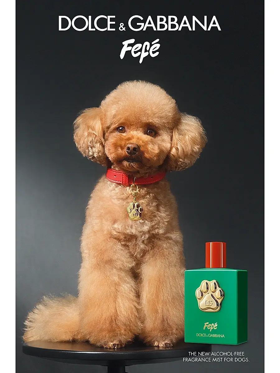Dolce & Gabbana Women's Fefé Fragrance Mist For Dogs | Thumbnail 5 Dolce & Gabbana Women's Fefé Fragrance Mist For Dogs | Thumbnail 5