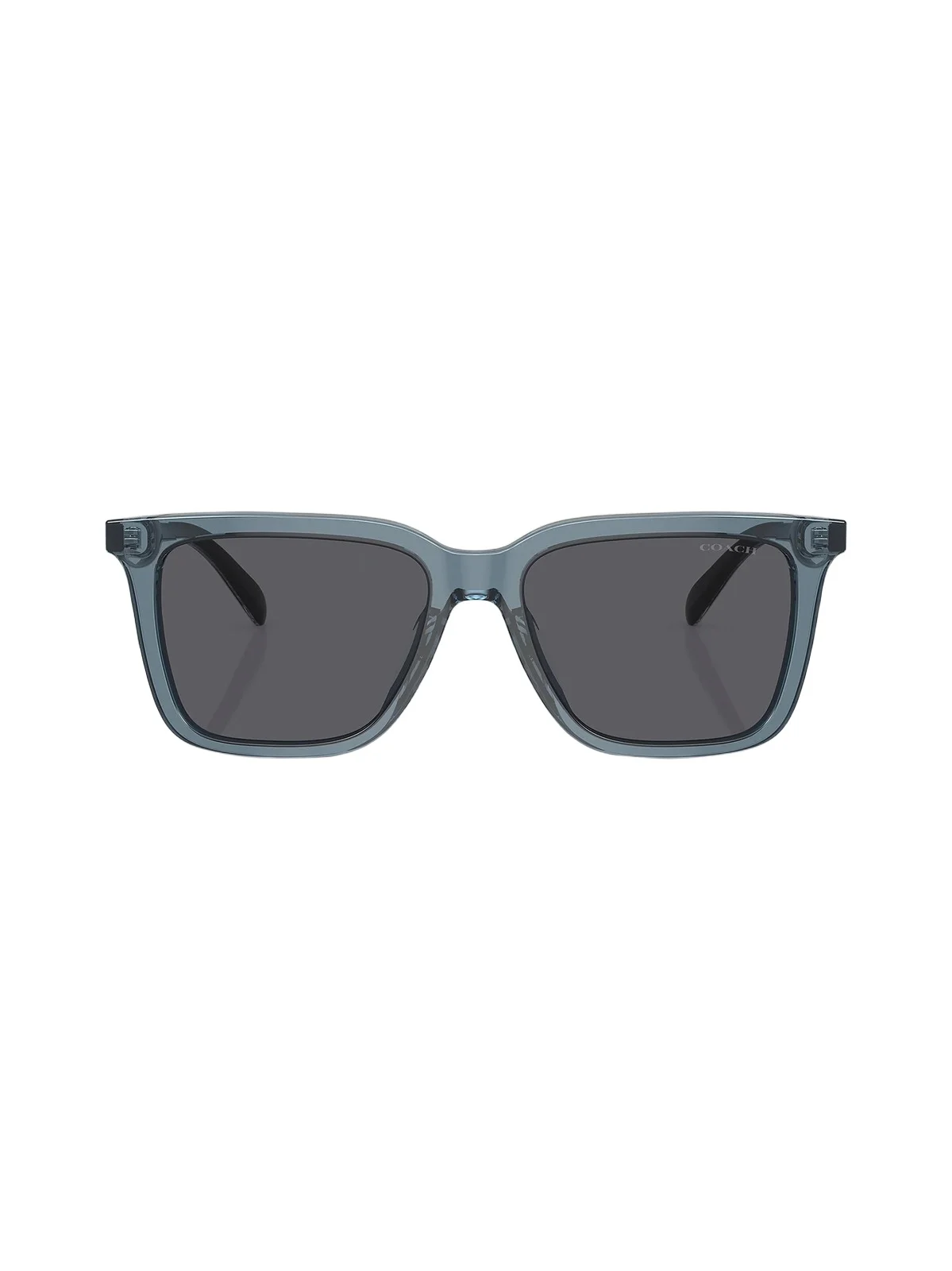 Men's 0HC8385U 54MM Butterfly Sunglasses