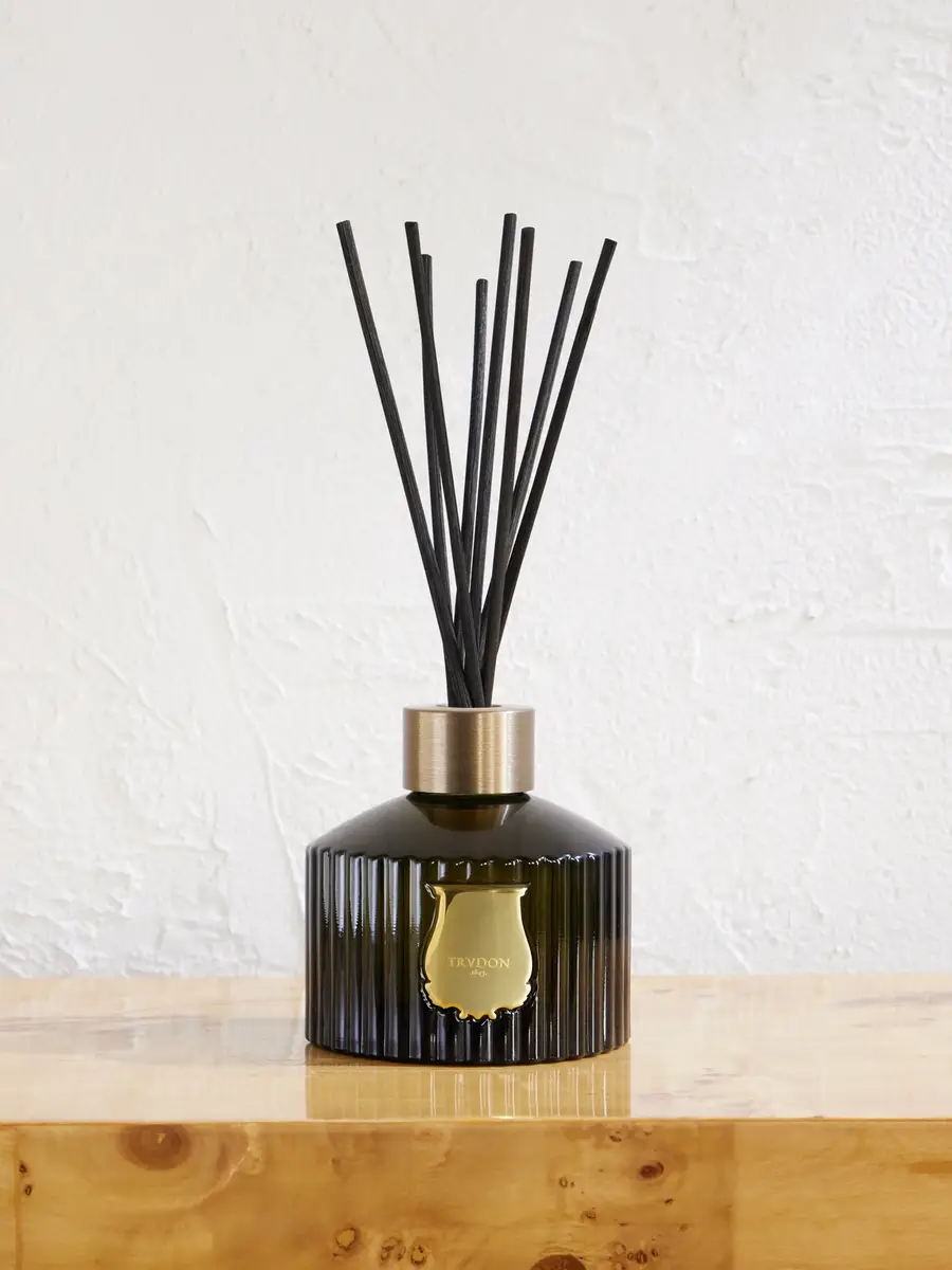 TRUDON Classic Reed Diffuser - Spiritus Sancti, 350ml - Men