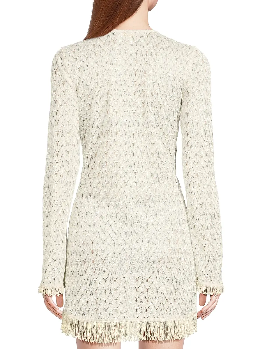 Ramy Brook Women's Cassie Fringed Chevron Minidress | Thumbnail 5