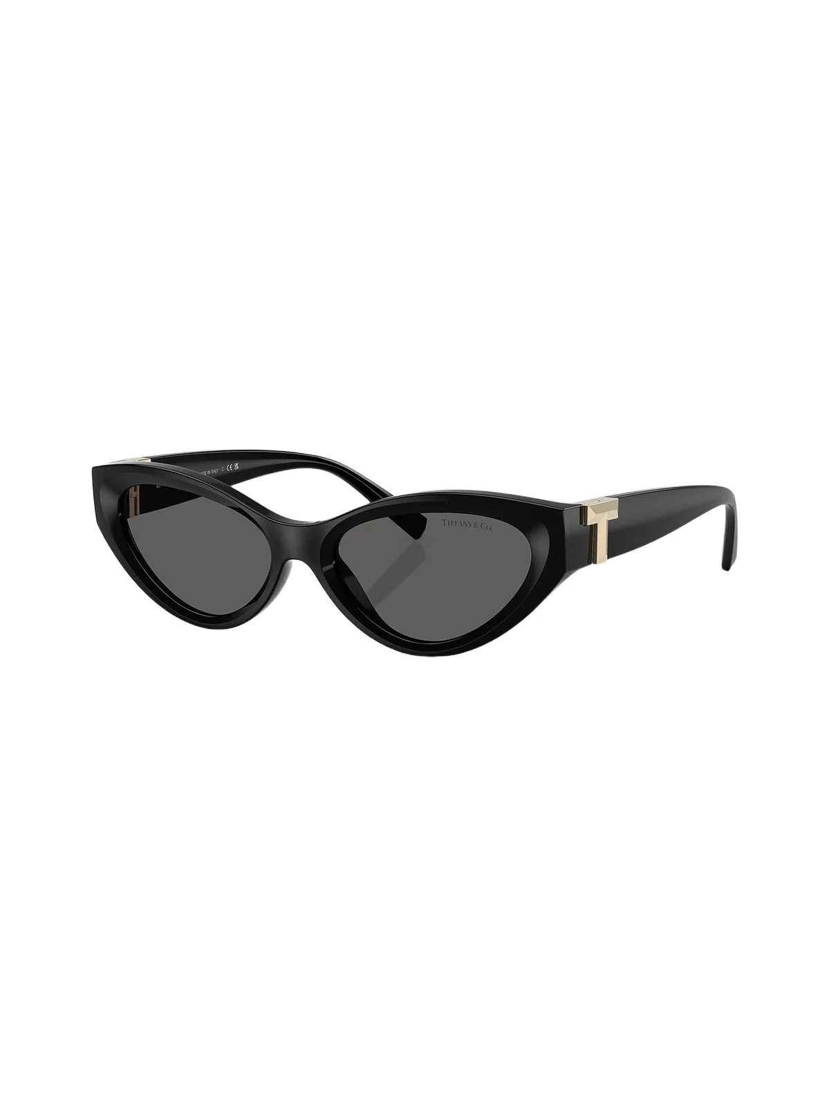 Women's Tiffany T 54MM Cat-Eye Sunglasses