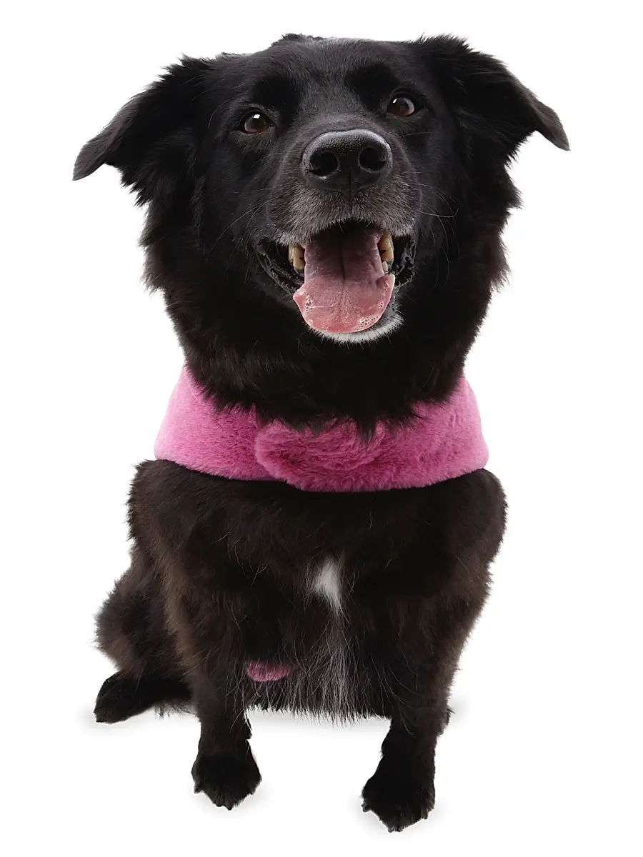 Apparis Carter Faux Fur Dog Sweater | Thumbnail 5 Apparis Carter Faux Fur Dog Sweater | Thumbnail 5