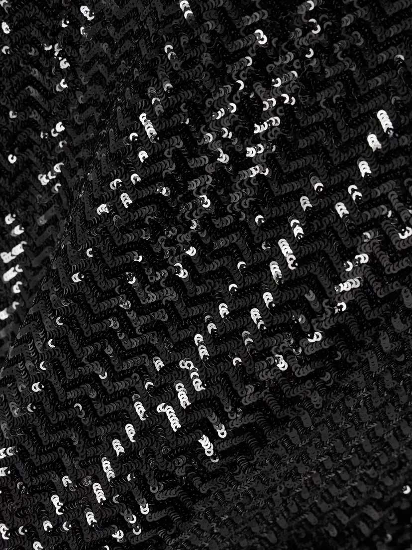 Anine Bing Josephine Sequined Tulle Top | Thumbnail 4 Anine Bing Josephine Sequined Tulle Top | Thumbnail 4