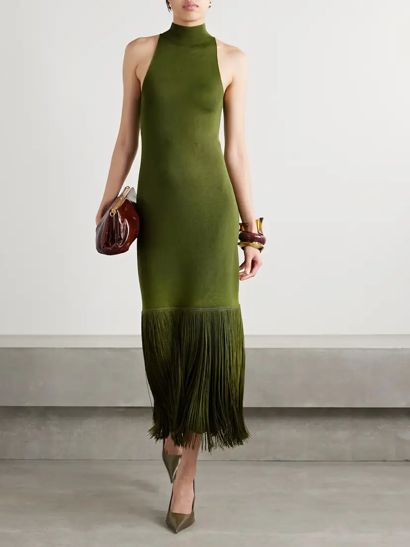 Altuzarra Cash Fringed Stretch-knit Turtleneck Midi Dress | Thumbnail 2