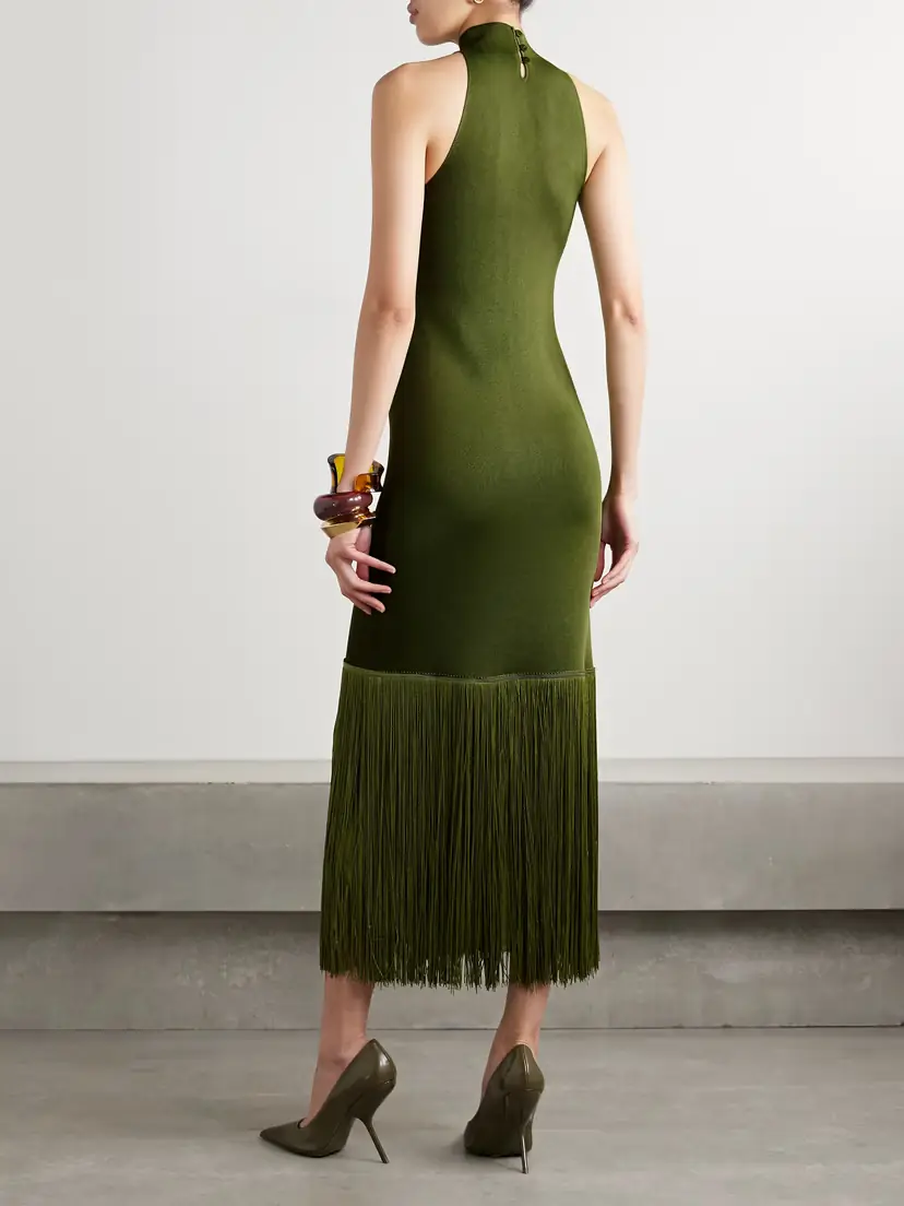Altuzarra Cash Fringed Stretch-knit Turtleneck Midi Dress | Thumbnail 3