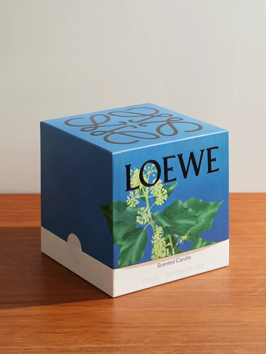 LOEWE PERFUMES Ivy Large Scent Candle, 2120g - Men | Thumbnail 3