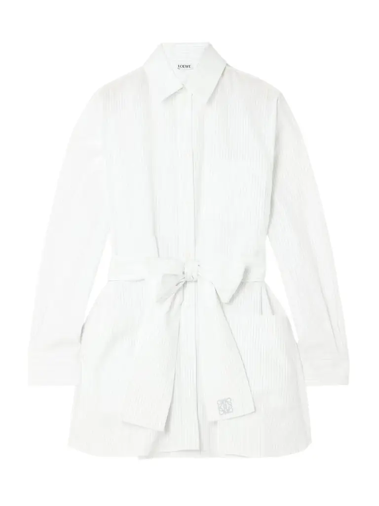 Belted Embroidered Pinstriped Cotton-poplin Shirt