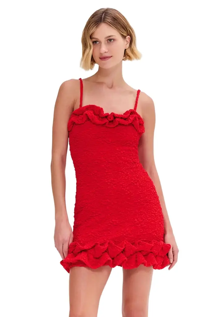 PatBo PAPILLON JACQUARD FLUTTER MINI DRESS
