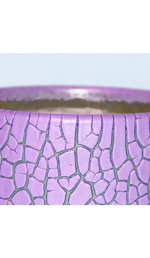 Houseplant Crackle Candle | Thumbnail 2