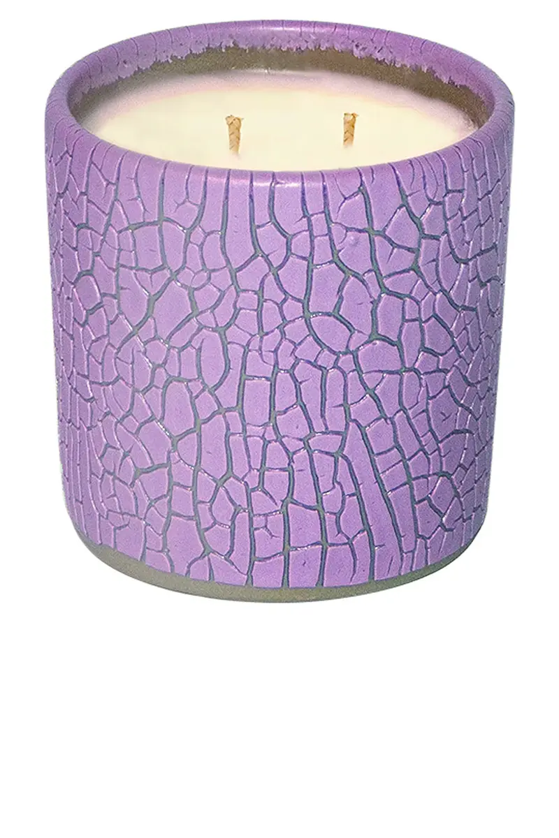 Houseplant Crackle Candle | Thumbnail 3