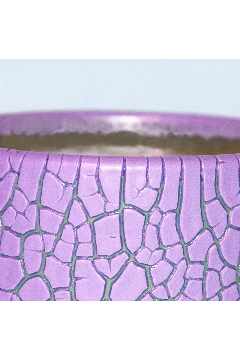 Houseplant Crackle Candle | Thumbnail 4