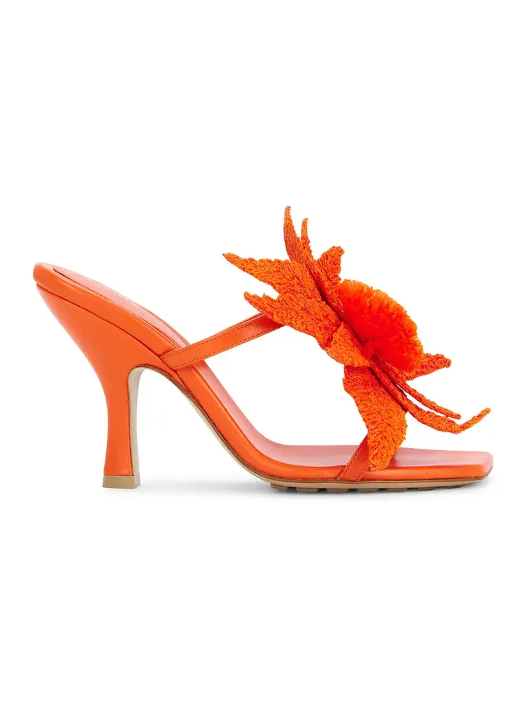 Adam Sandal Adam Sandal