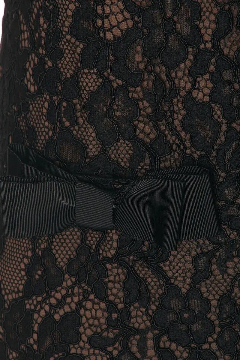 Helsa The Lace Mini Dress | Thumbnail 7 Helsa The Lace Mini Dress | Thumbnail 7