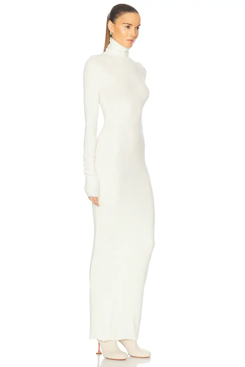ÉTERNE Long Sleeve Turtleneck Maxi Dress | Thumbnail 2