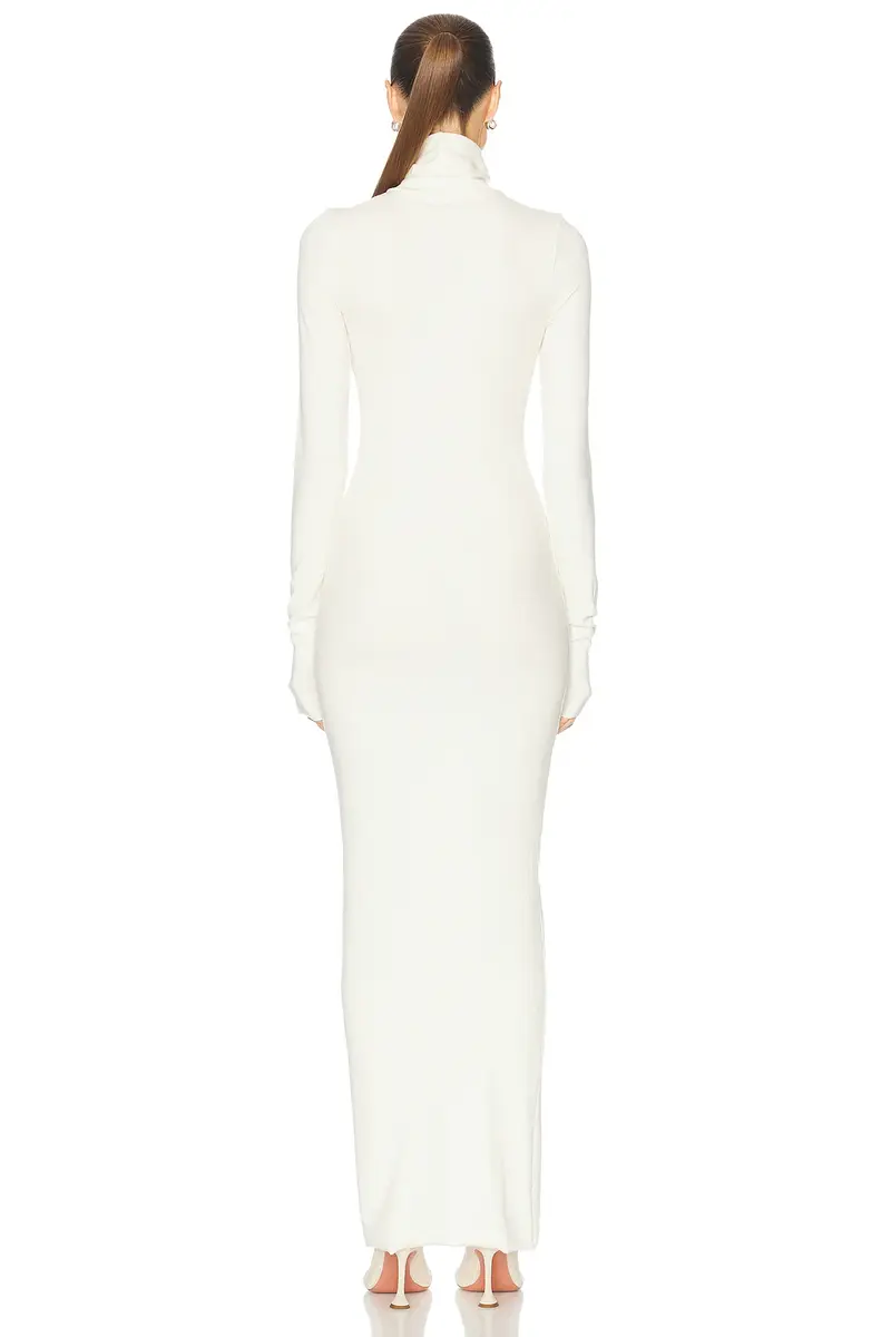 ÉTERNE Long Sleeve Turtleneck Maxi Dress | Thumbnail 3