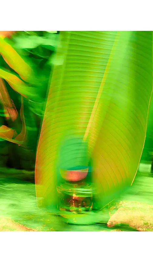 Vyrao Mini Woo: I Am Verdant Eau De Parfum | Thumbnail 2 Vyrao Mini Woo: I Am Verdant Eau De Parfum | Thumbnail 2