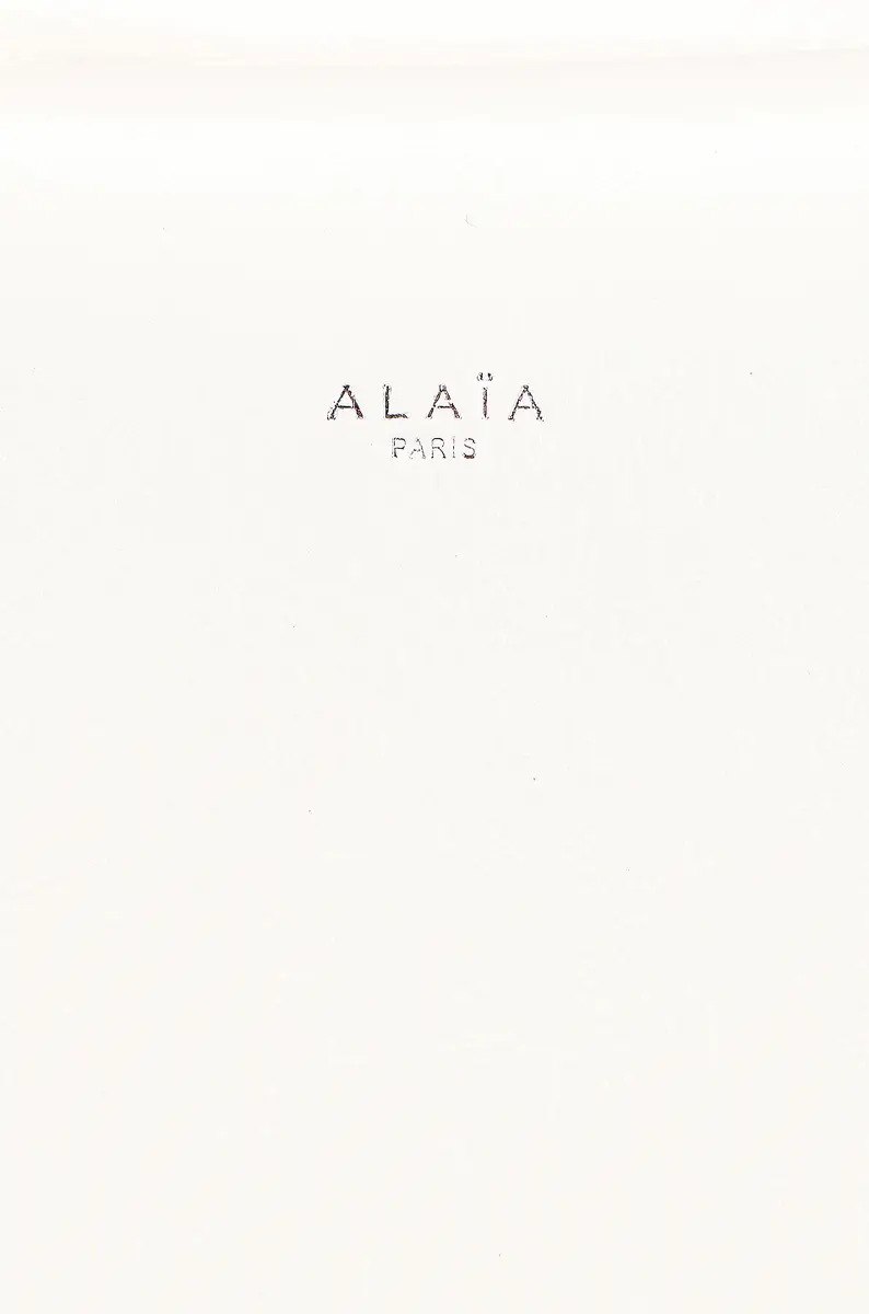 Alaïa Le Hinge Bag | Thumbnail 7 Alaïa Le Hinge Bag | Thumbnail 7