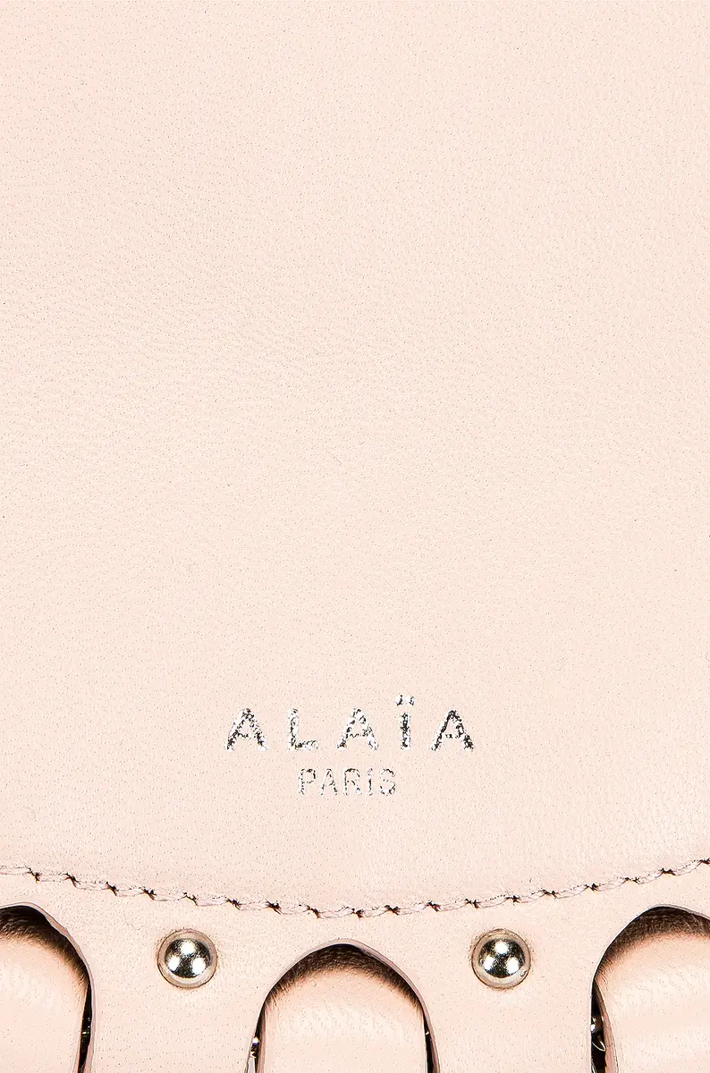 Alaïa Le Demi-Lune Bag | Thumbnail 7